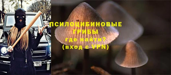 каннабис Белокуриха