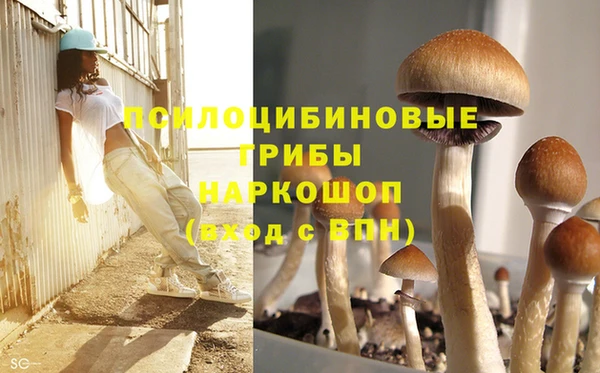 МДПВ Беломорск